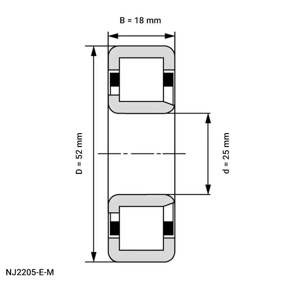 شمای فنی رولبرینگ استوانه ای NJ2205 E M