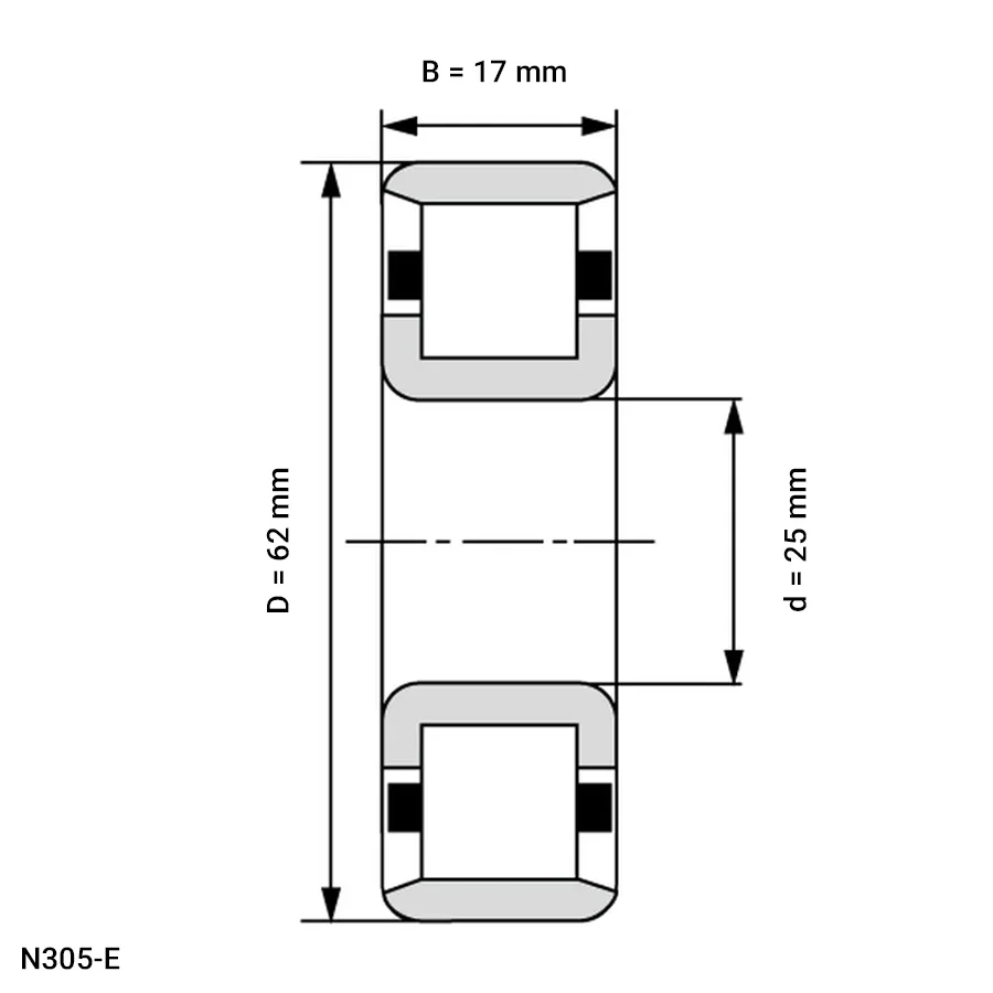 شمای فنی رولبرینگ استوانه ای N305 E